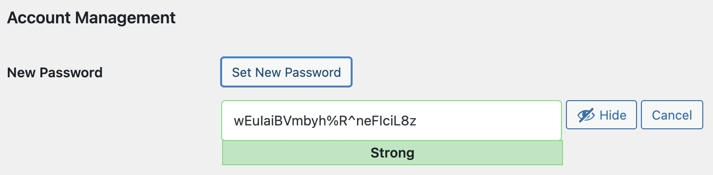 Website Security - Password